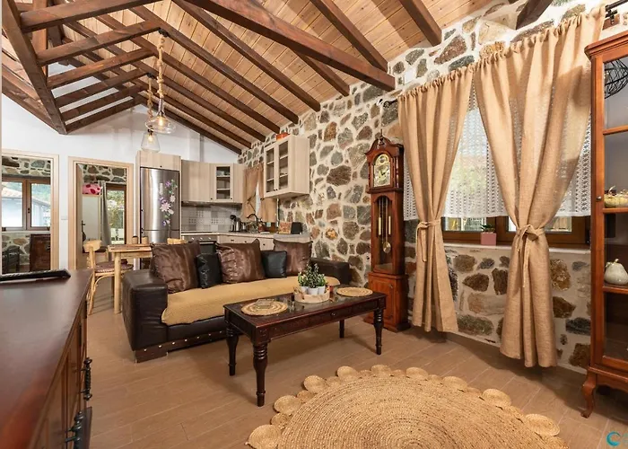 度假居 Eleni's Stone House