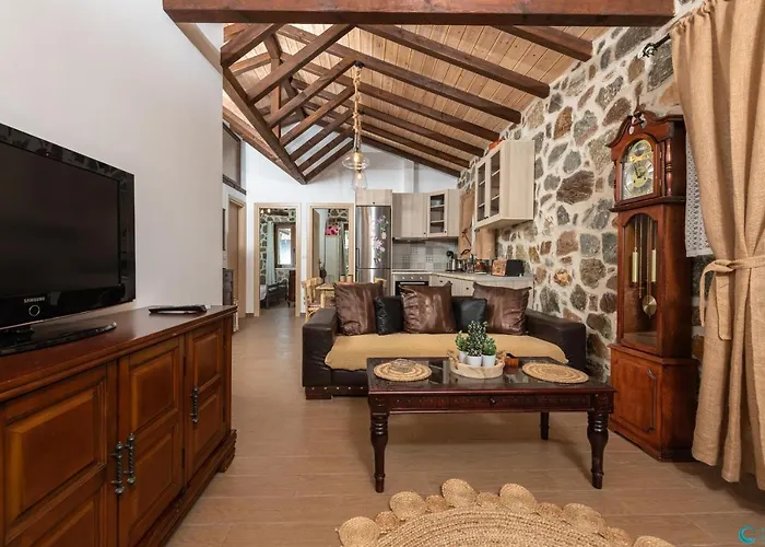 Eleni's Stone House 度假居 *